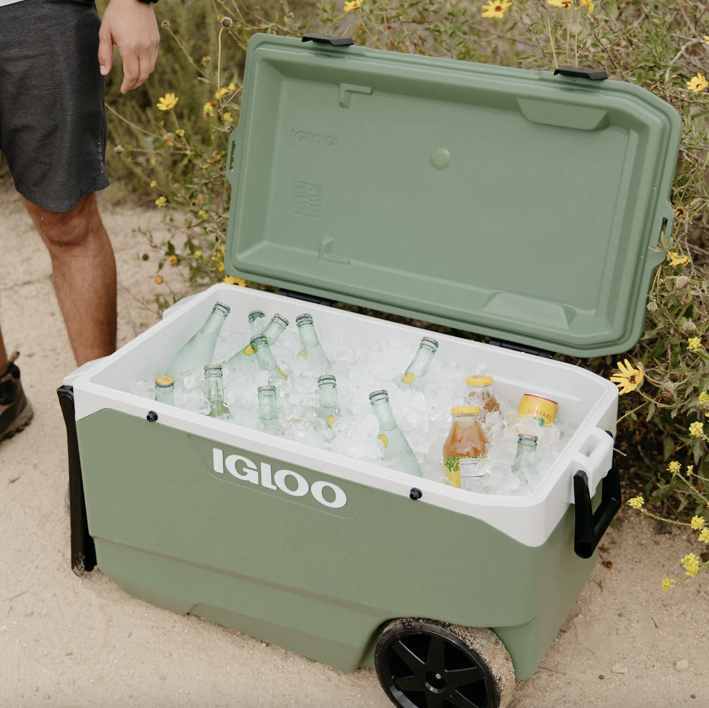 a green Igloo cooler with beverages inside