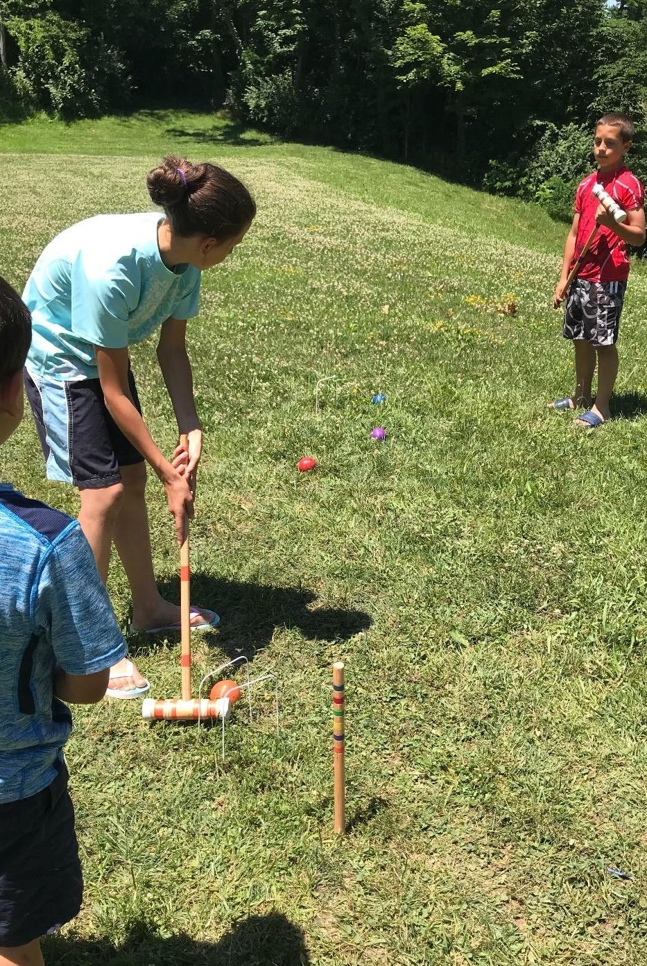 Reviewer's photo of family playing croquet