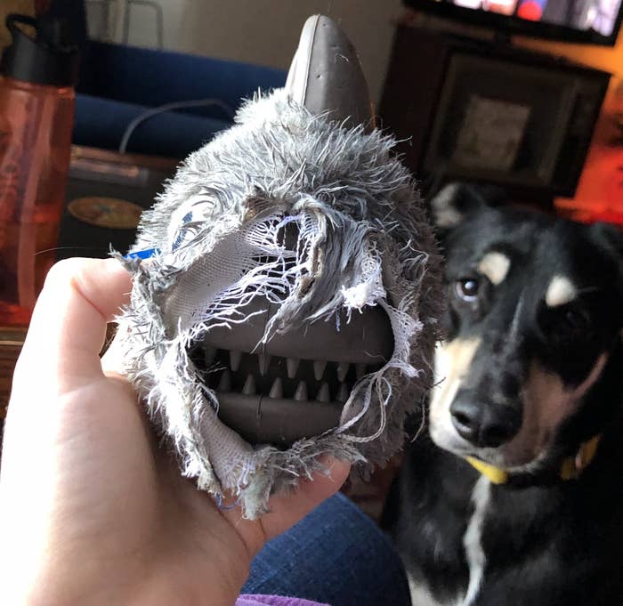 the author holding the toy partially destroyed to reveal the scary looking rubber face underneath, while Bowie looks on in concern