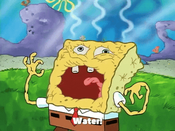 A shrivelled SpongeBob saying &quot;water!&quot;
