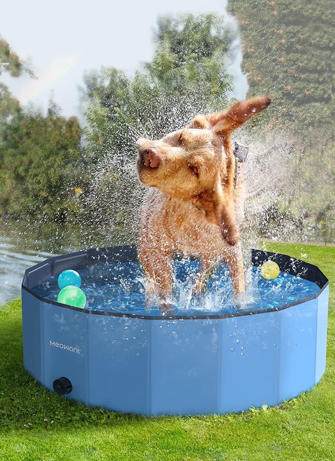 A dog shaking water off while standing in the mini pool