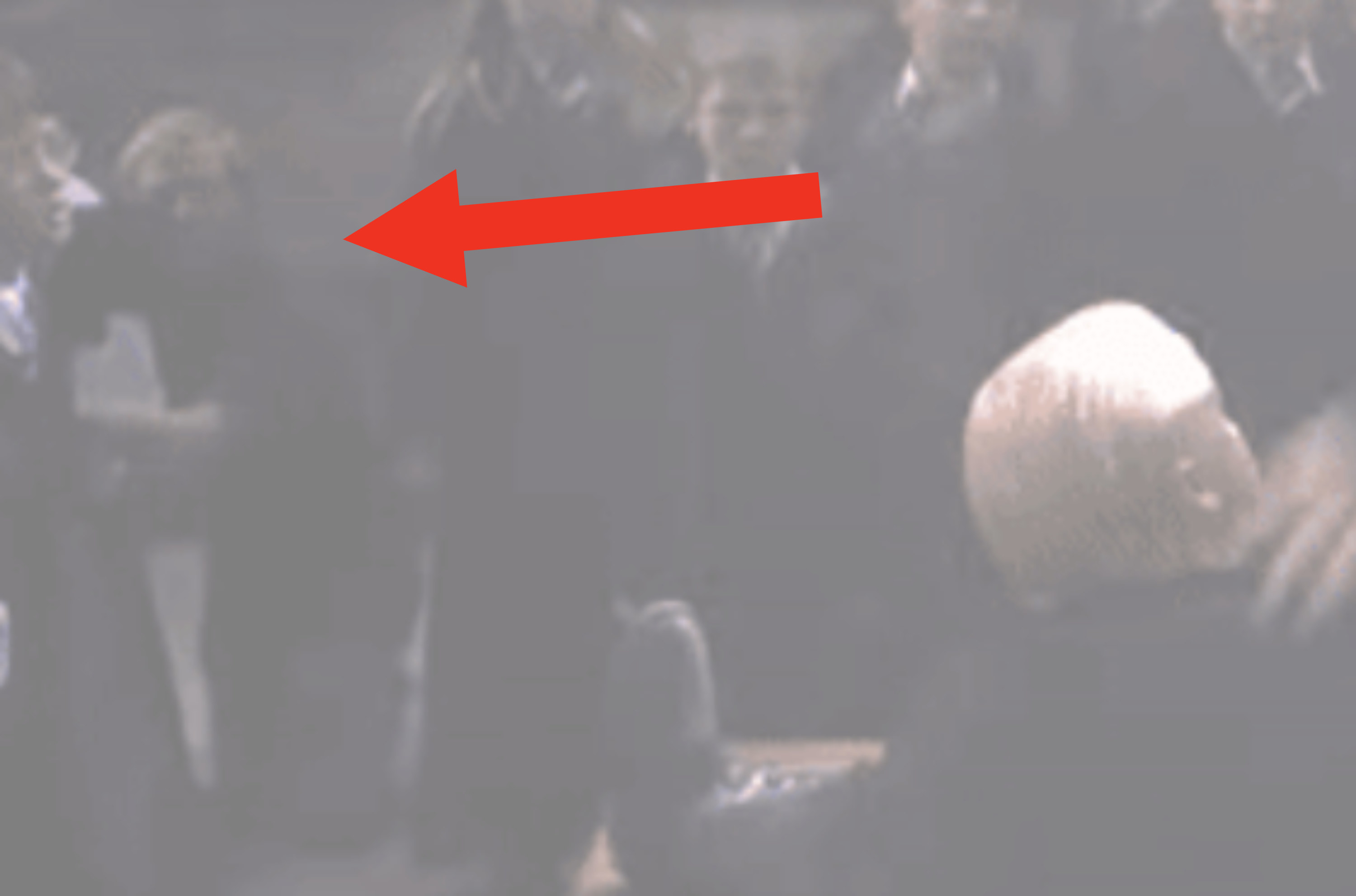 Close up on camera crew filming behind Snape and Malfoy