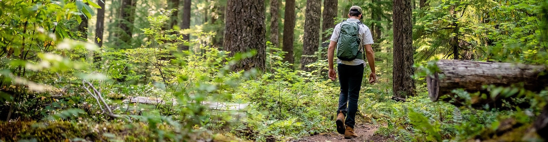 A hiker walking on a verdant trail