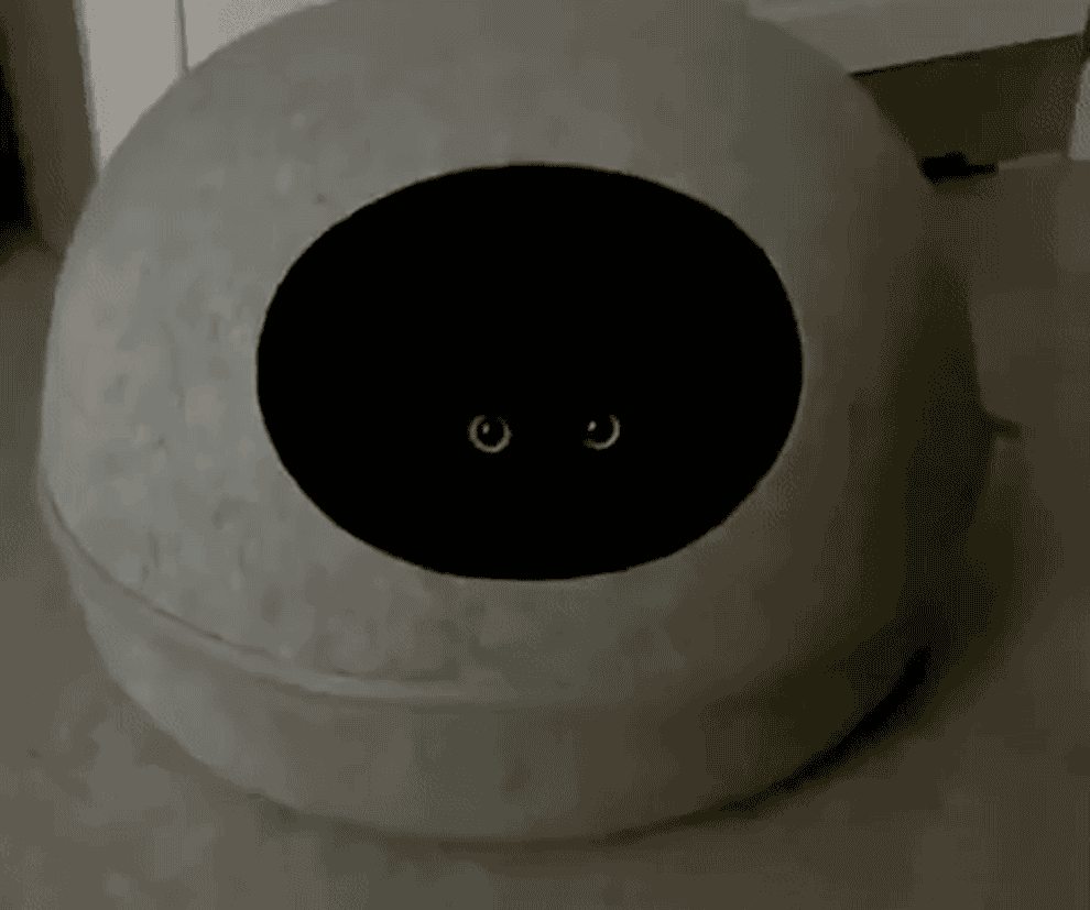 A cat&#x27;s eyes in the darkness of a cat hut