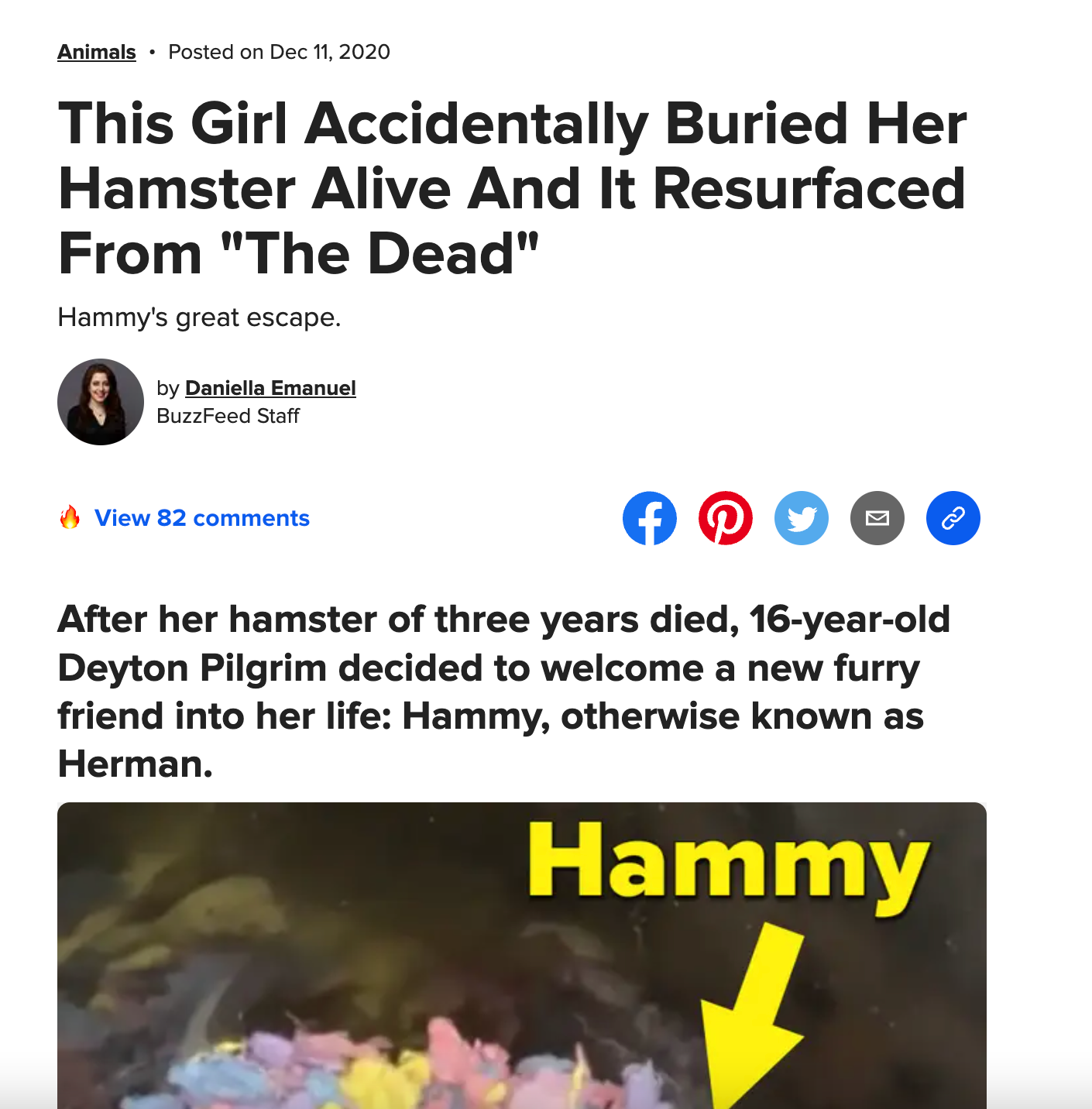 Hamster Death Meme