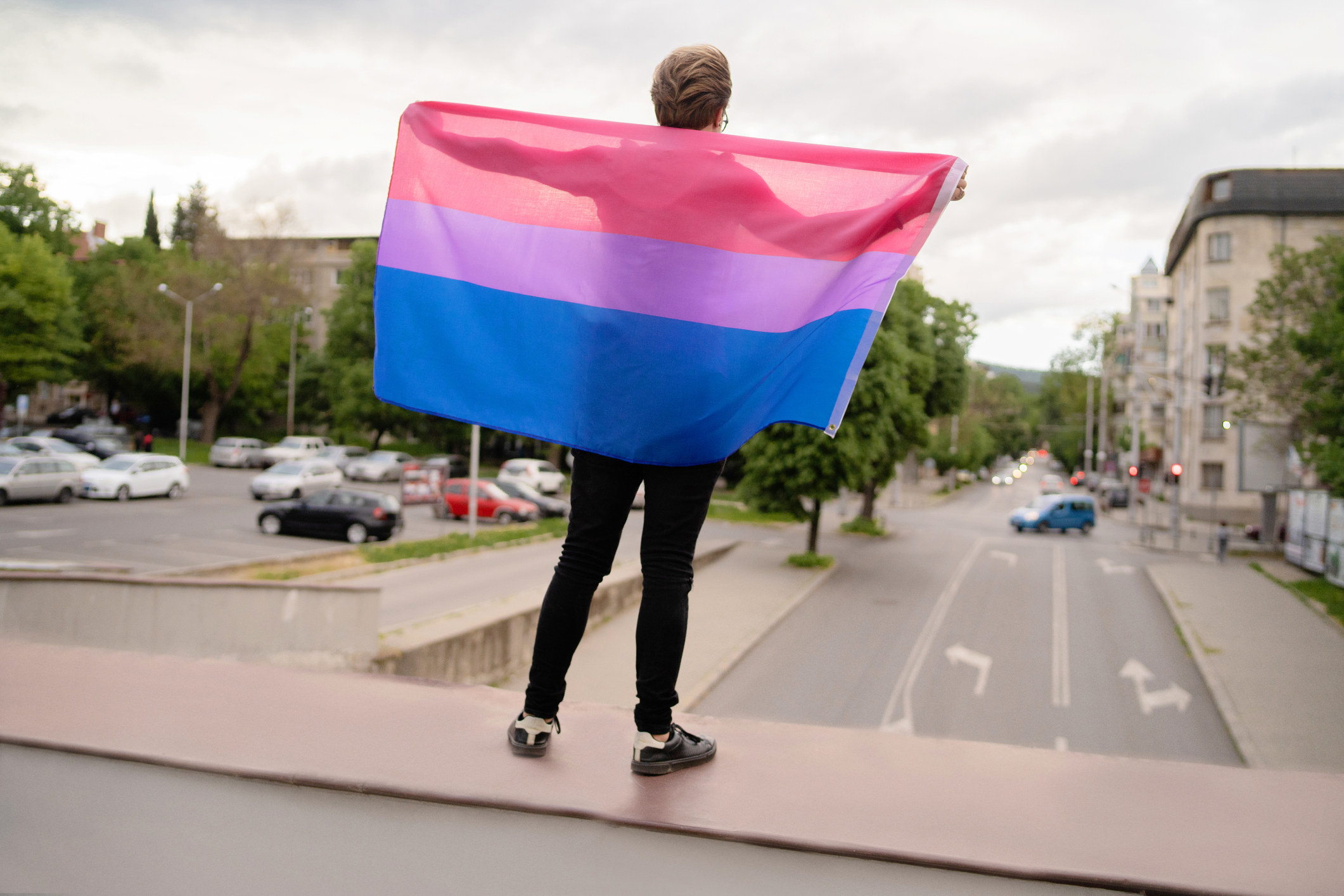person holding bi flag while standing on the ledge of an overpass