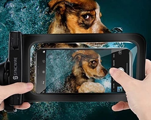 A person with their phone in the pouch taking a photo of their dog playing in the water