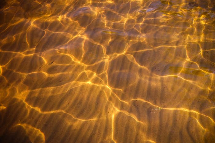 Water rippling in the sunlight