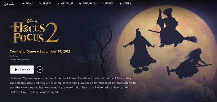 The poster shows silhouettes of the witches floating in the sky — one is riding a broom, one is riding a Swiffer, and one is standing on two Roombas