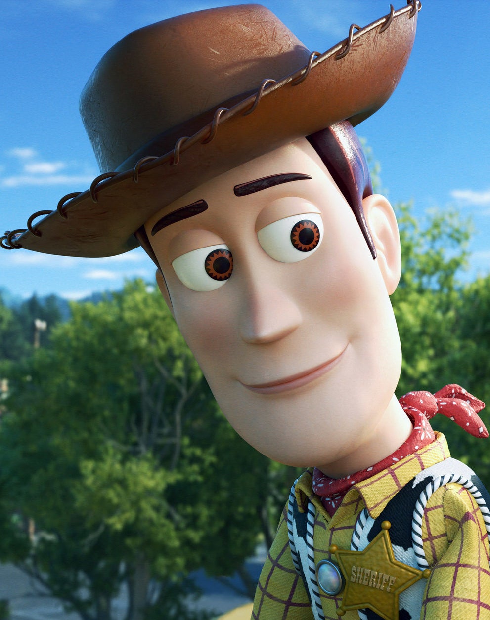 Sheriff Woody wearing his hat