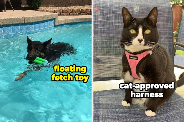 A reviewer photo of a dog with the toy out of the pool