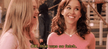 a gif from the movie Mean Girls of them saying &quot;OK that was so fetch&quot;