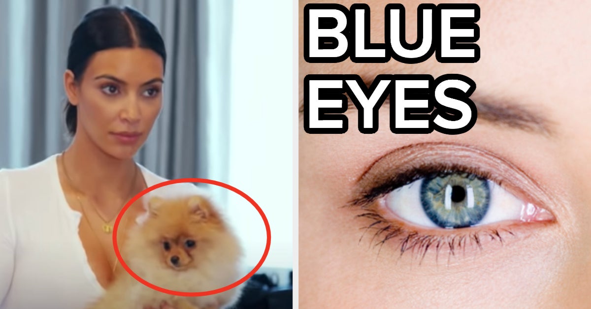 Wrong Eye Color Dog Pics Quiz