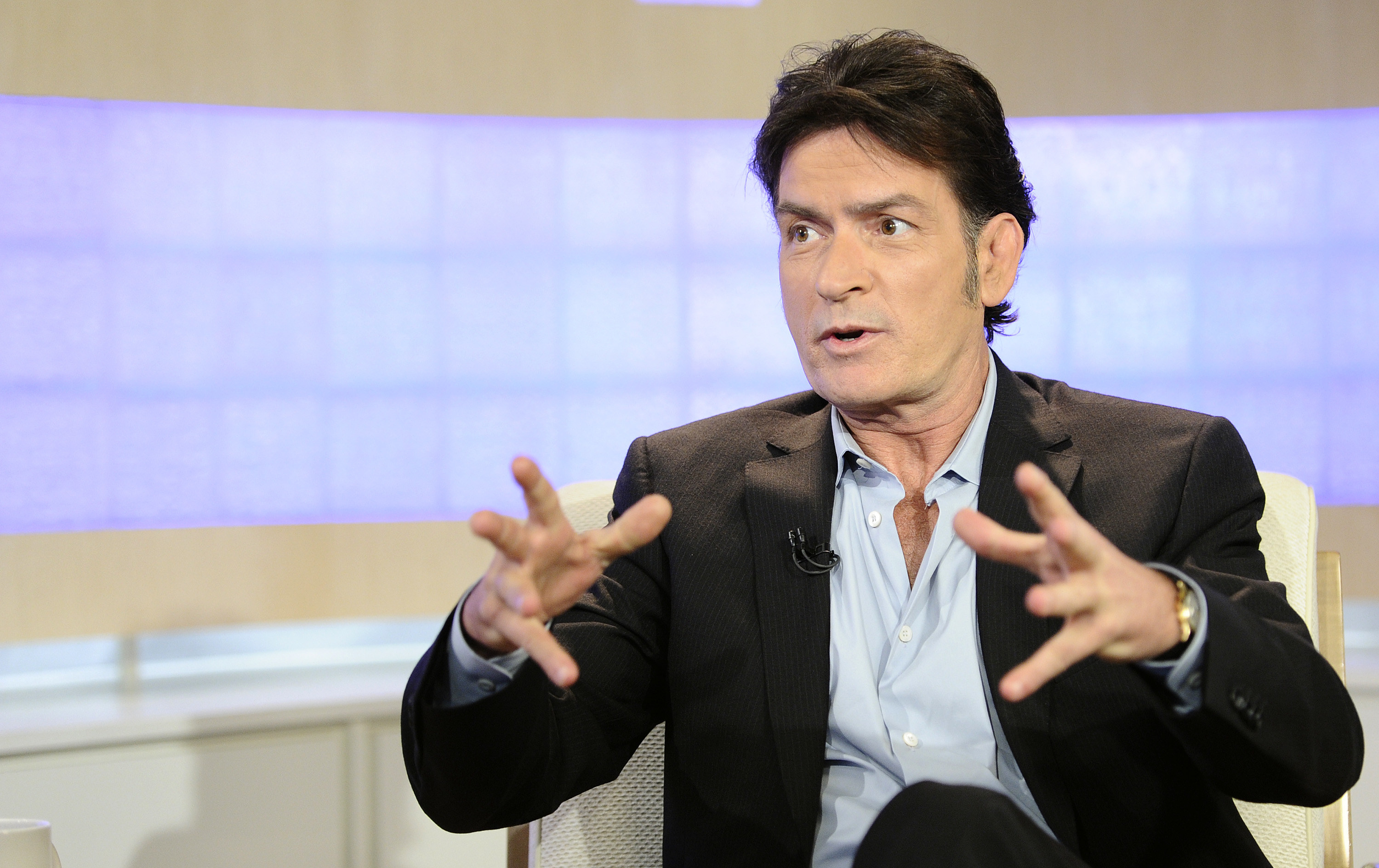 Charlie Sheen on &quot;Today&quot; in 2011
