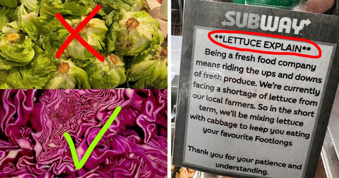 Australia Is Facing A Lettuce Shortage, But Cabbage FTW