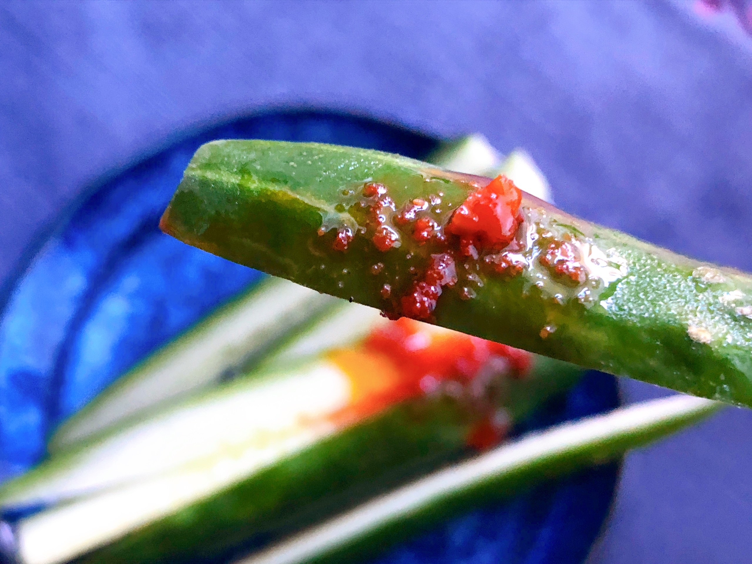 KALDI（カルディ）で見つけたご飯のお供「かねふく 食べるラー油明太子」旨辛でオススメ
