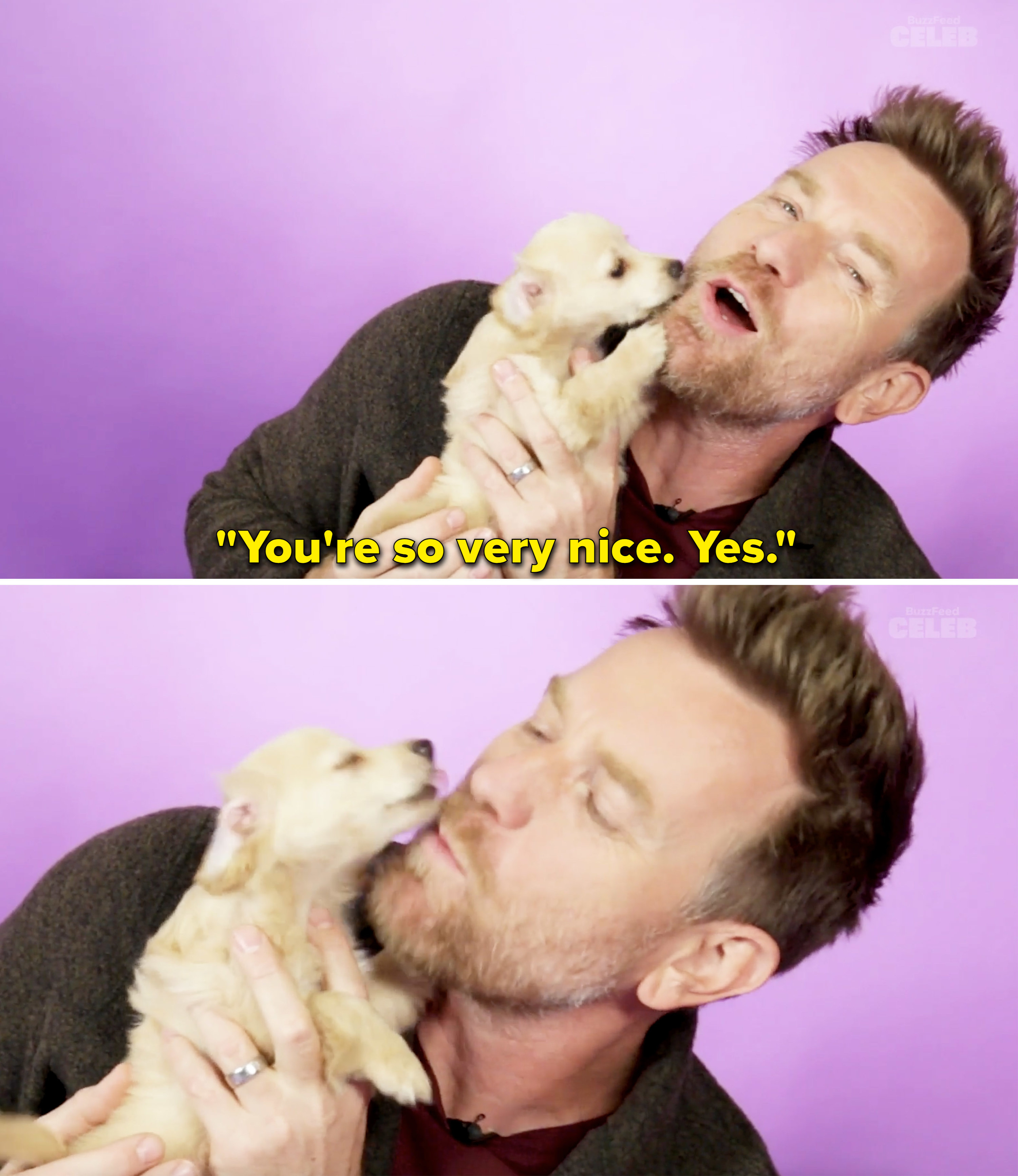 Ewan calling a puppy very nice while it licks him on the face