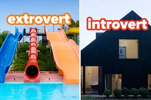 extrovert and introvert