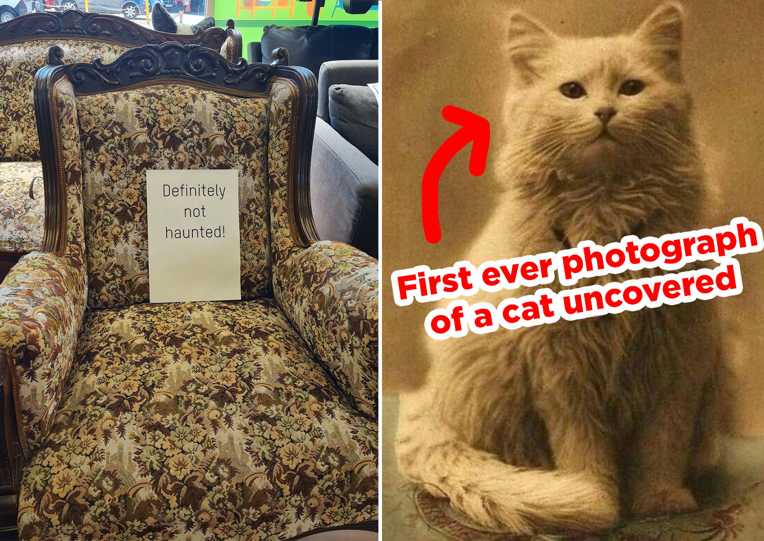 22 Good Things That Happened This Week