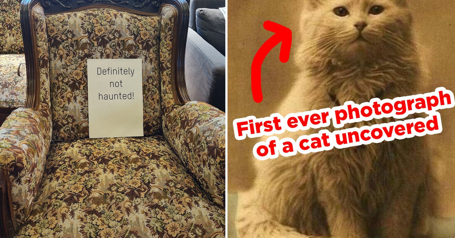 22 Good Things That Happened This Week