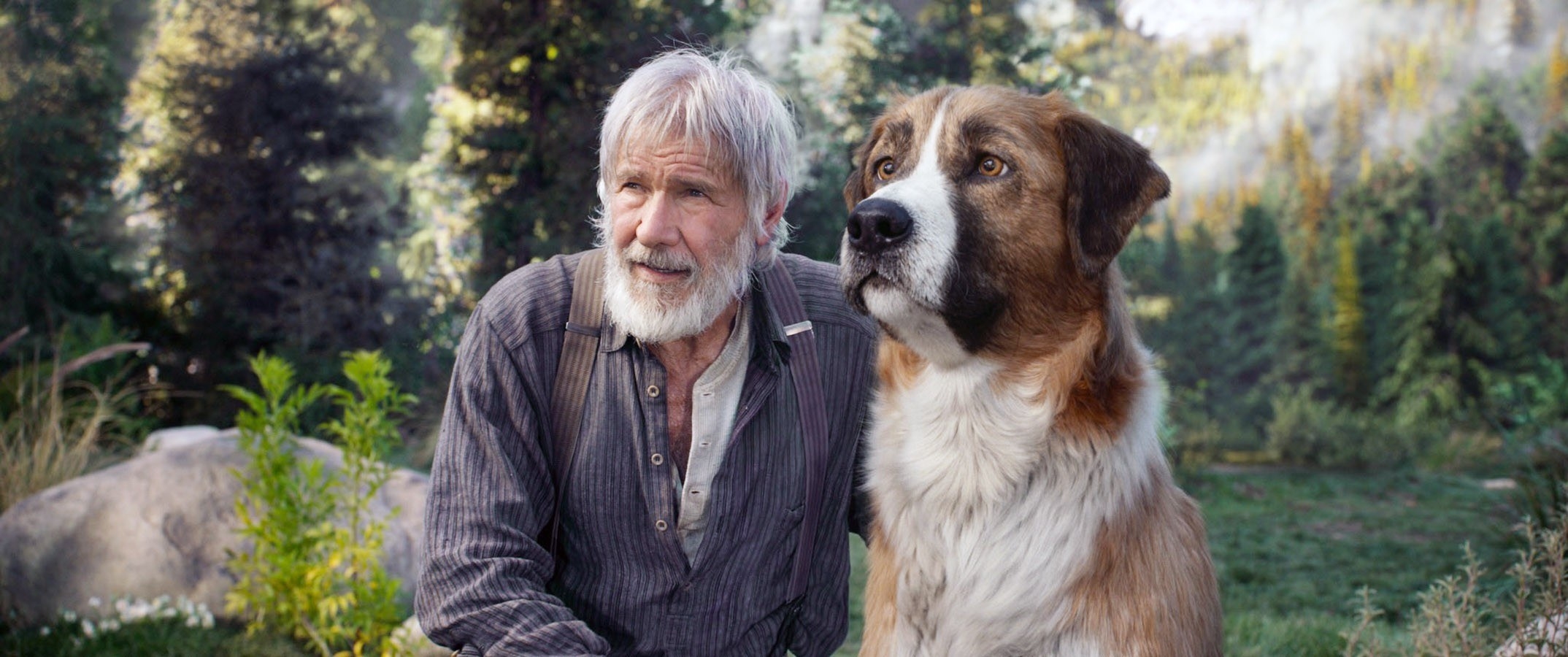 Harrison Ford and a St. Bernard dog in the wild