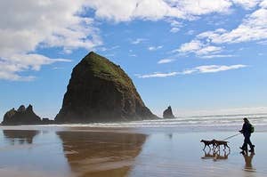 Haystack Rock Cannon Beach, OR / by daveynin at www.flickr.com