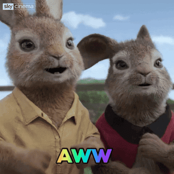 two rabbits saying aww