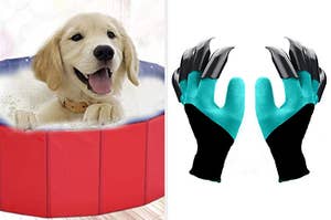 A puppy in a pool and gardening gloves with claws for digging