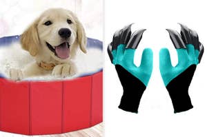 A puppy in a pool and gardening gloves with claws for digging