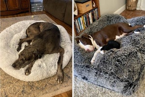 left: reviewer photo of greyhound curled up on donut bed. right: reviewer photo of great dane on brown dog bed