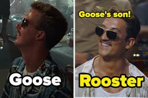 Goose and Rooster in both top gun movies
