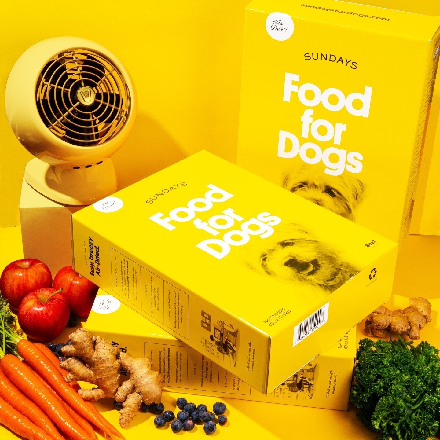 yellow boxes of dog food from Sundays for Dogs next to fruits and veggies