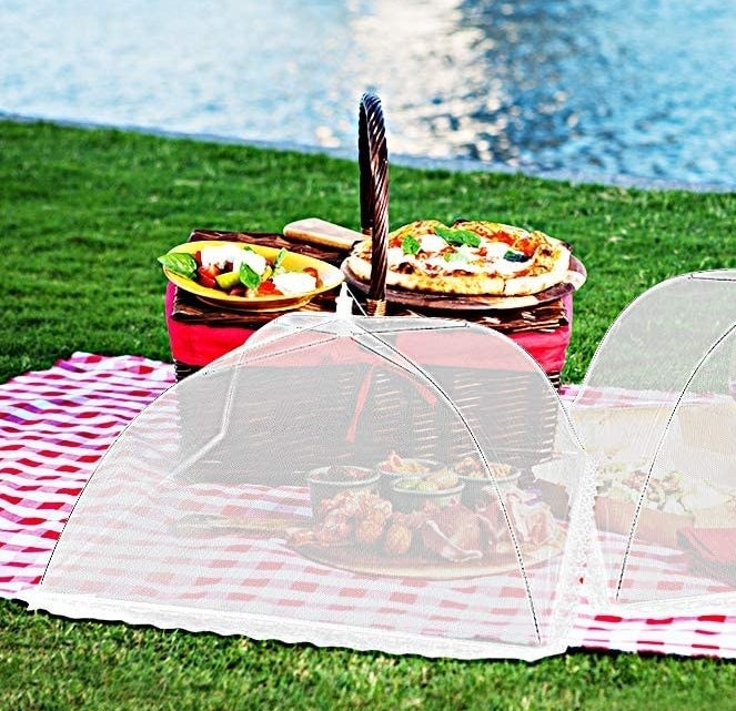 A picnic with two pop-up mesh tents covering food at a picnic