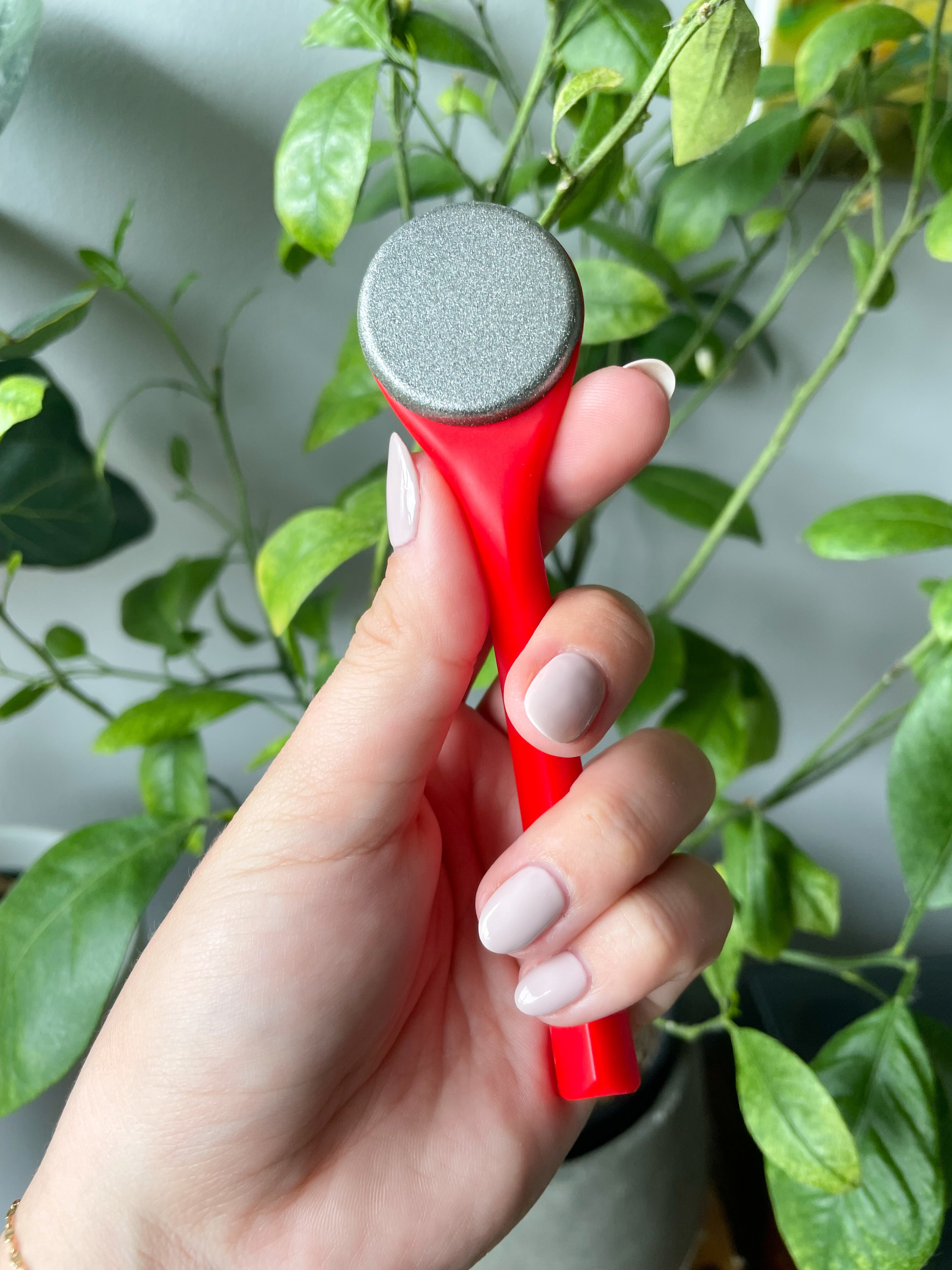 a person holding up the microdermabrasion wand against a leafy background
