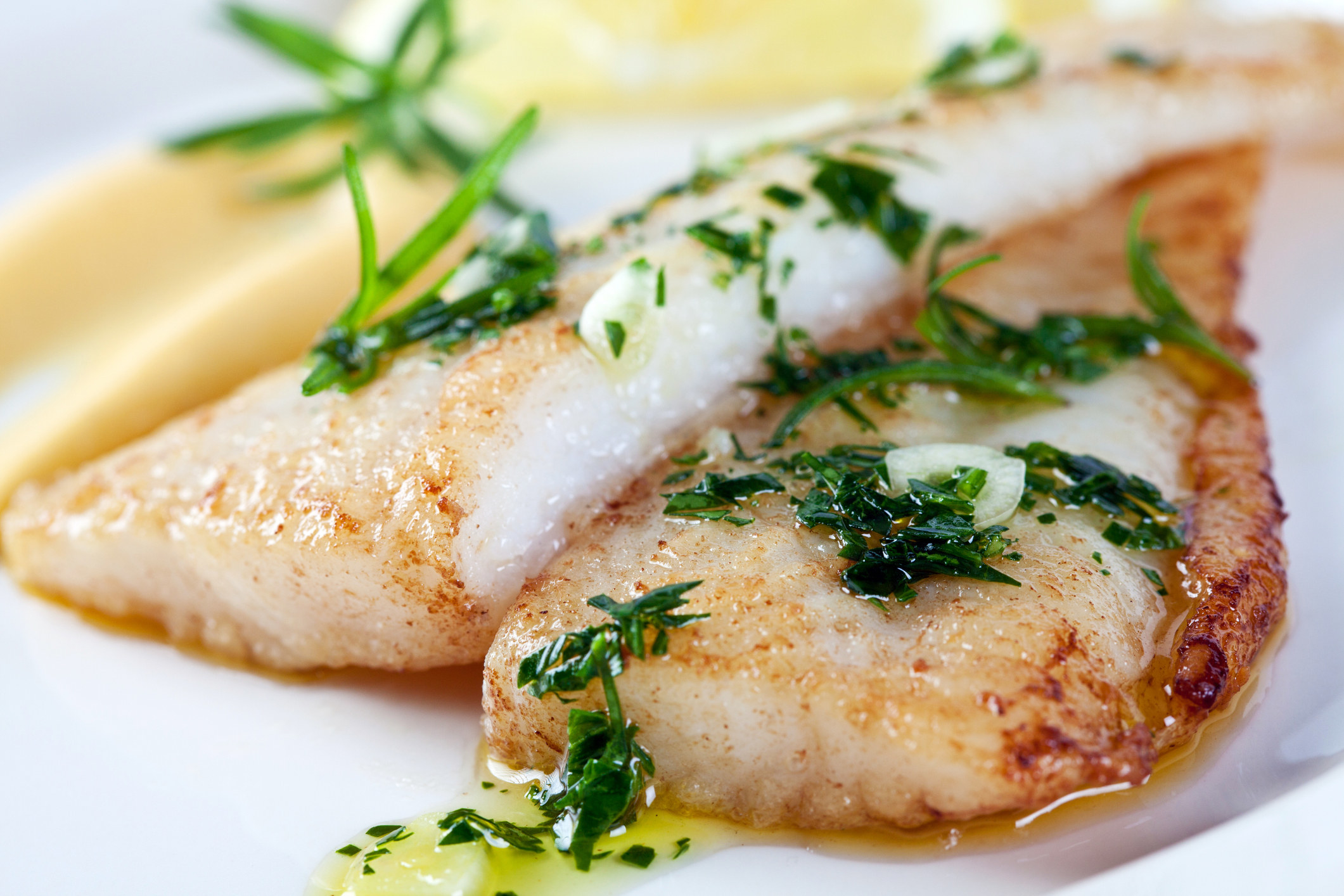 Fillet of white fish with parsley, garlic, olive oil, and lemon sauce