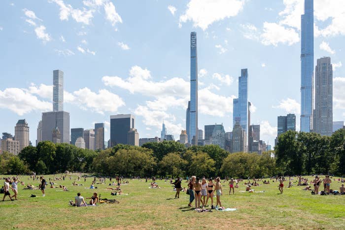 A lawn of people at Central Park in NYC.