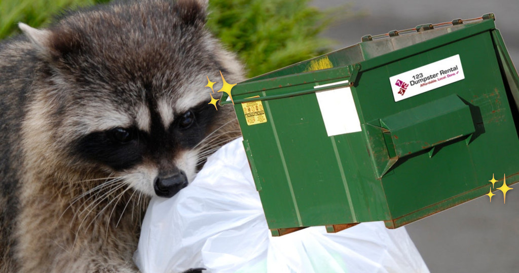 Which Dumpster Animal Are You?