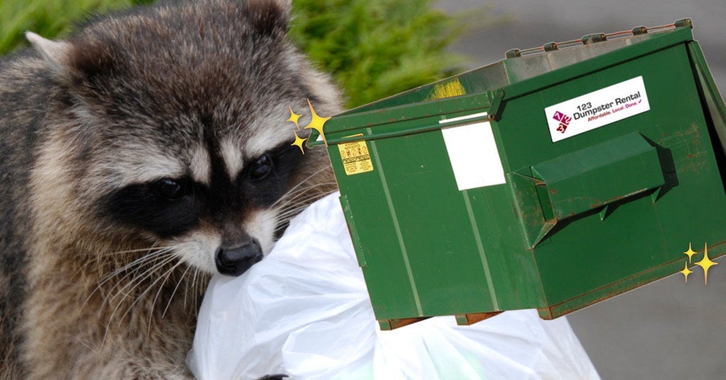 Which Dumpster Animal Are You?