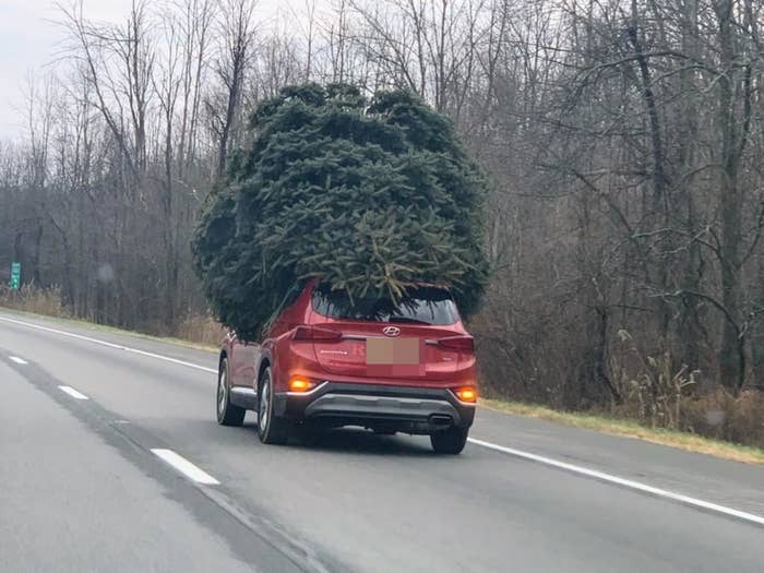 christmas tree on a car