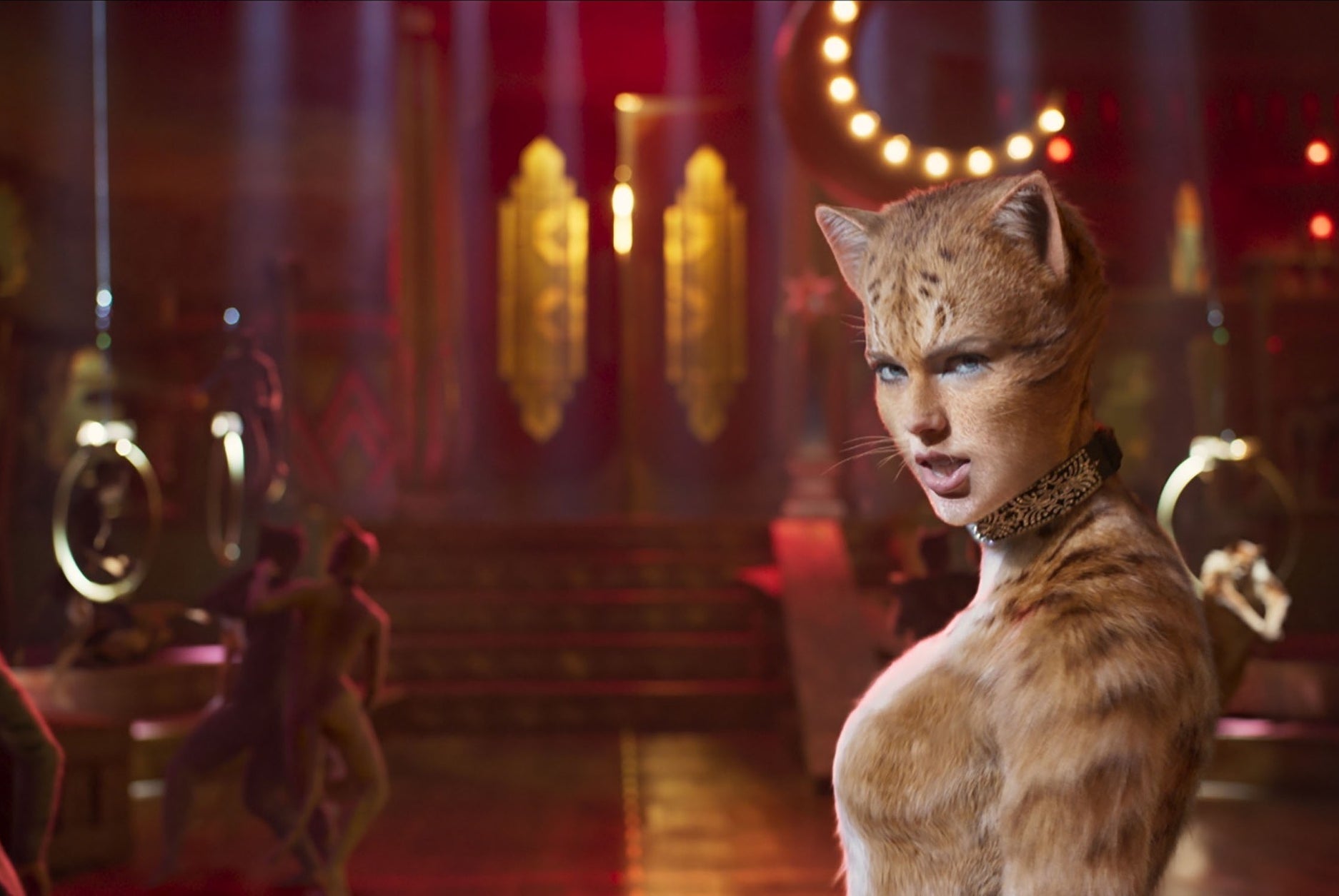 Taylor Swift as a cat