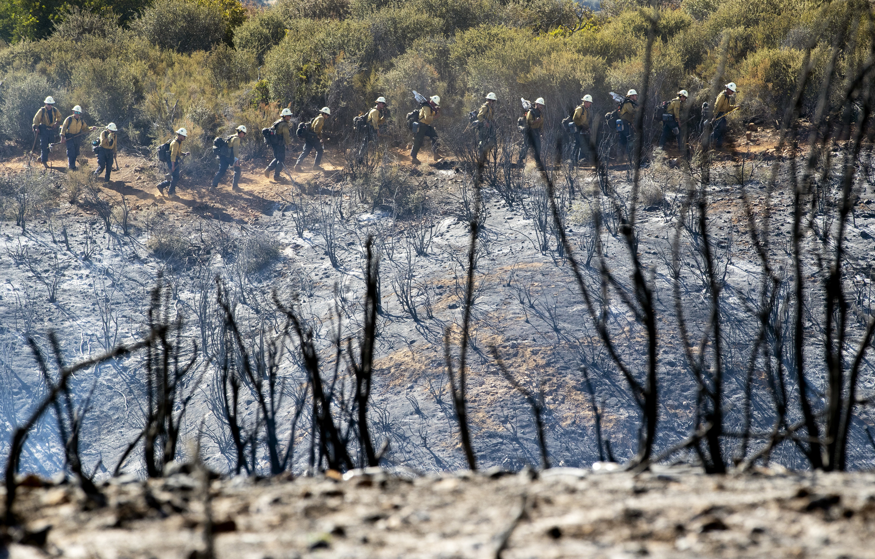 Firefighters in the distance walk in a line outside by a charred field with burnt foliage in the foreground