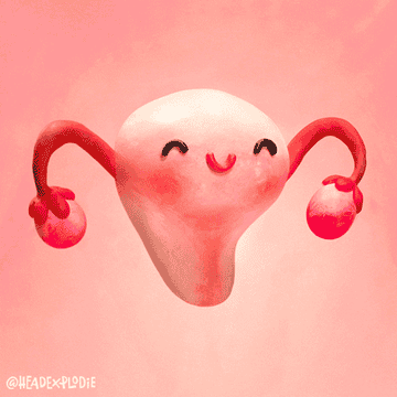 animated uterus