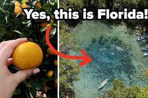 Left: Hand holding fruit; Right: Aerial view of a natural springs with kayaks
