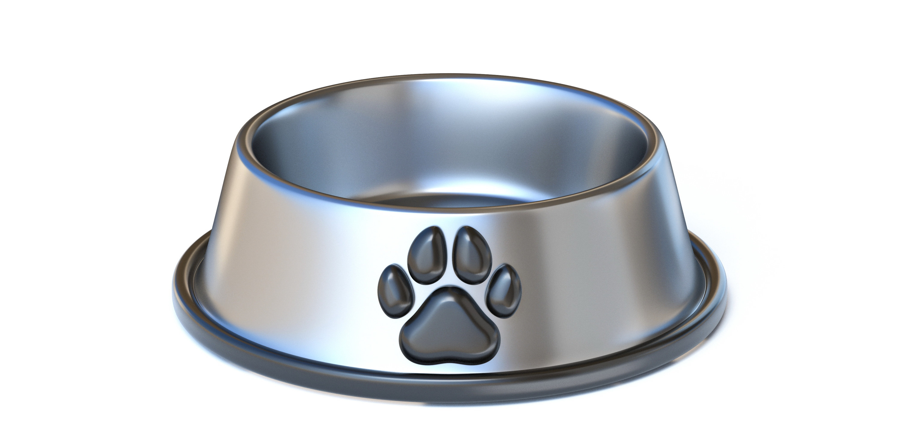 metal dog bowl