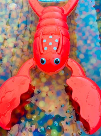 reviewer's photo of the lobster toy and water beads