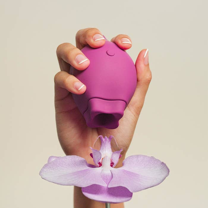 Smile Maker's Poet Suction Vibe Is 25% Off For Oral Sex Week