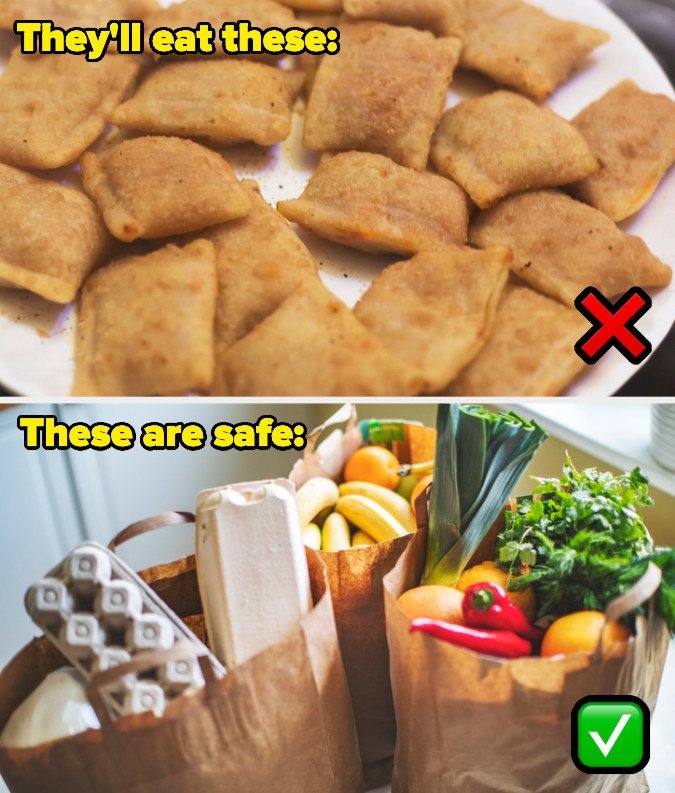 a plate of pizza rolls and bags of groceries
