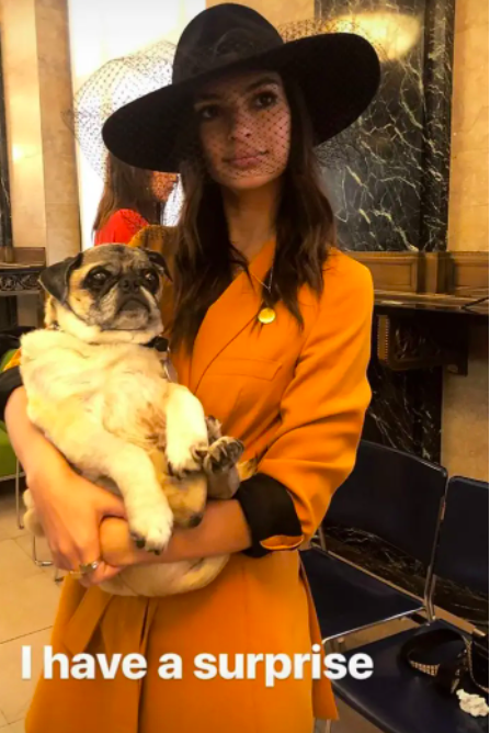 Ratajkowski&#x27;s Instagram story of her holding a dog with the words, &quot;I have a surprise&quot;