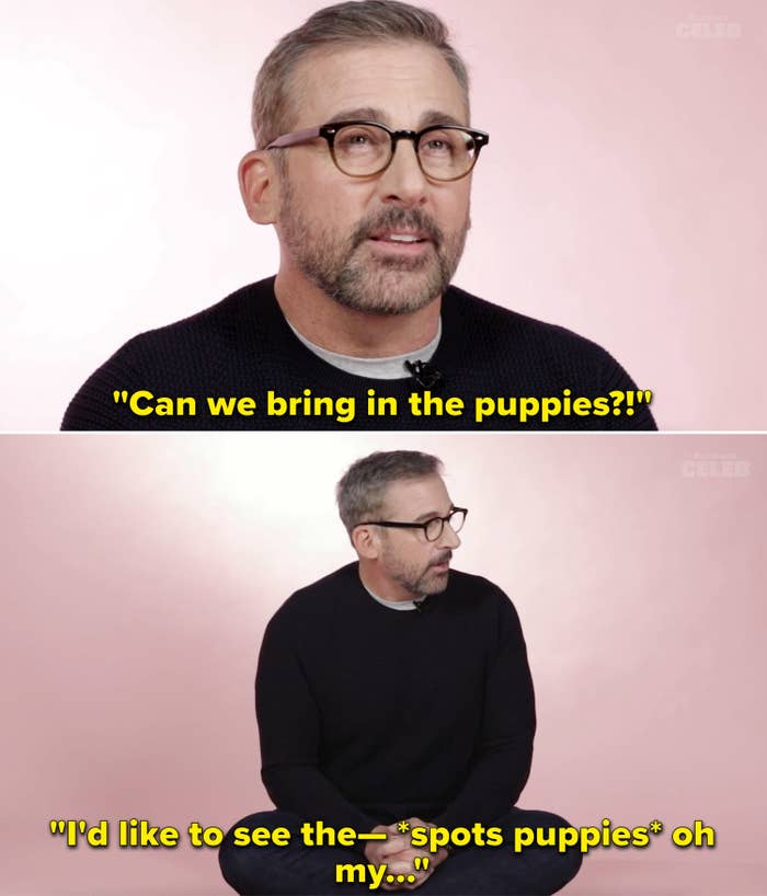 Steve saying, &quot;Can we bring in the puppies&quot; and then being shocked at how cute they are
