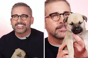 Steve Carell playing with puppies